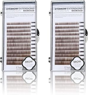 Kit de extensiones de cejas con 2 bandejas de...