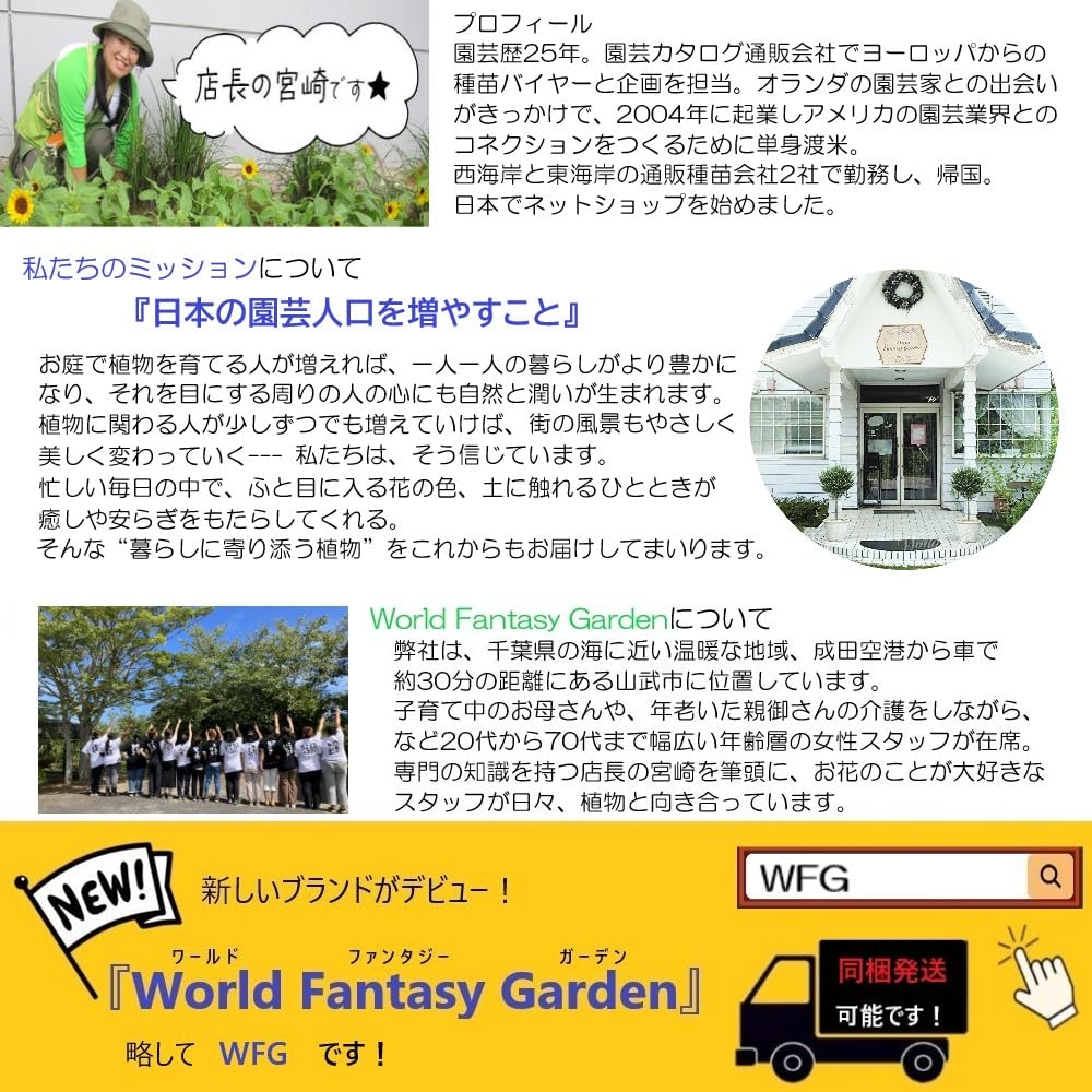 Amazon.co.jp: World Fantasy Garden 苗 黒葉ミツバ 1鉢 3～3.5号 【お