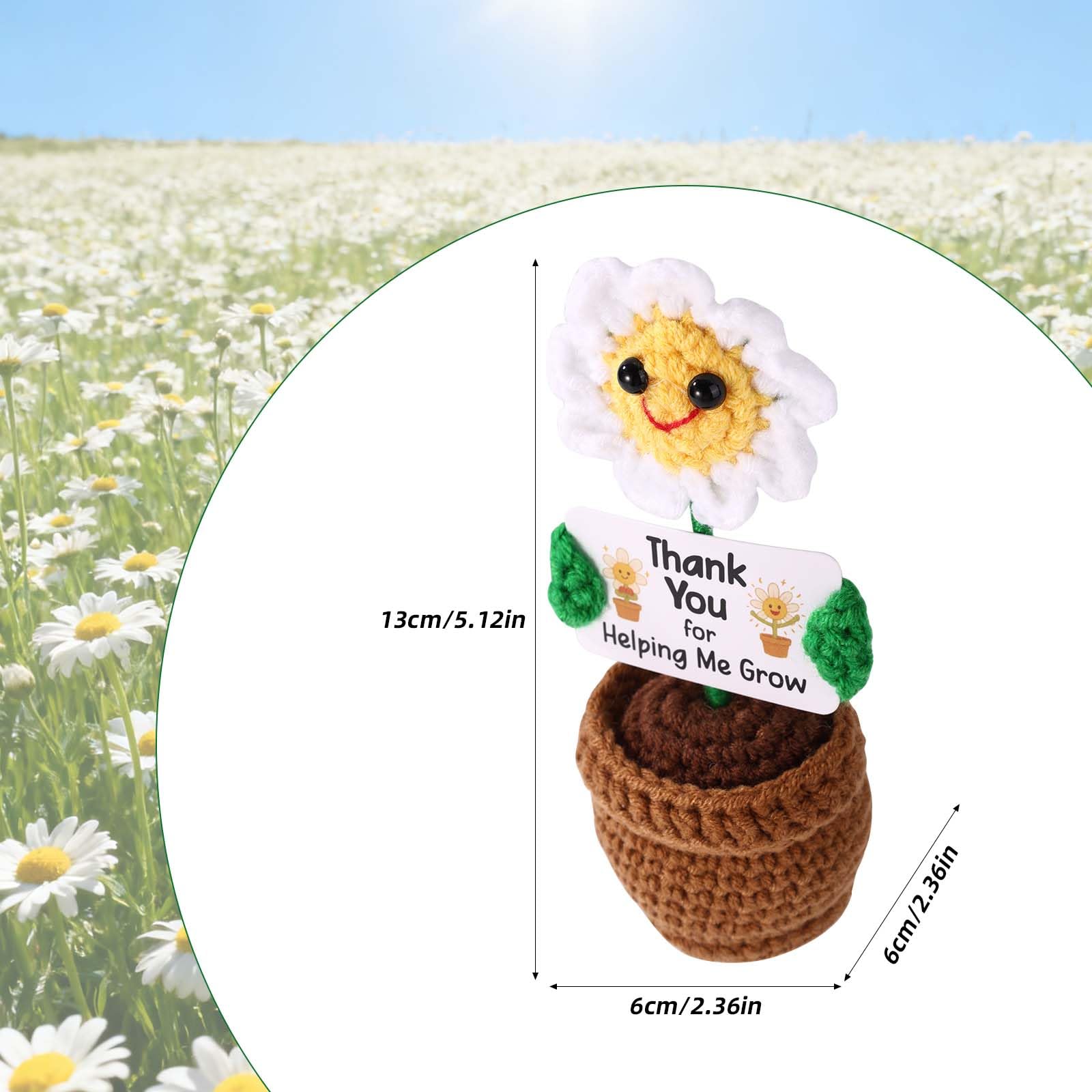 TOYMIS Positive Daisy - Image 2