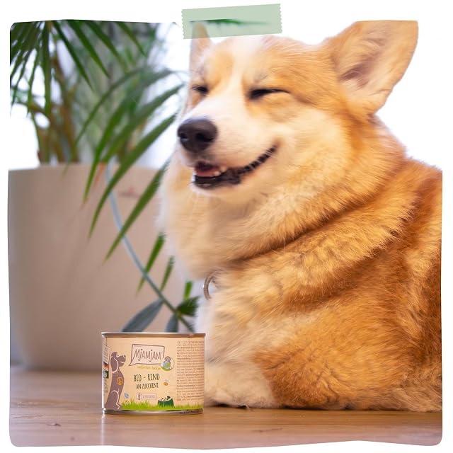 Foto 6 de 6 de MjAMjAM - Comida húmeda Premium para Perros - naturalmente Deliciosa