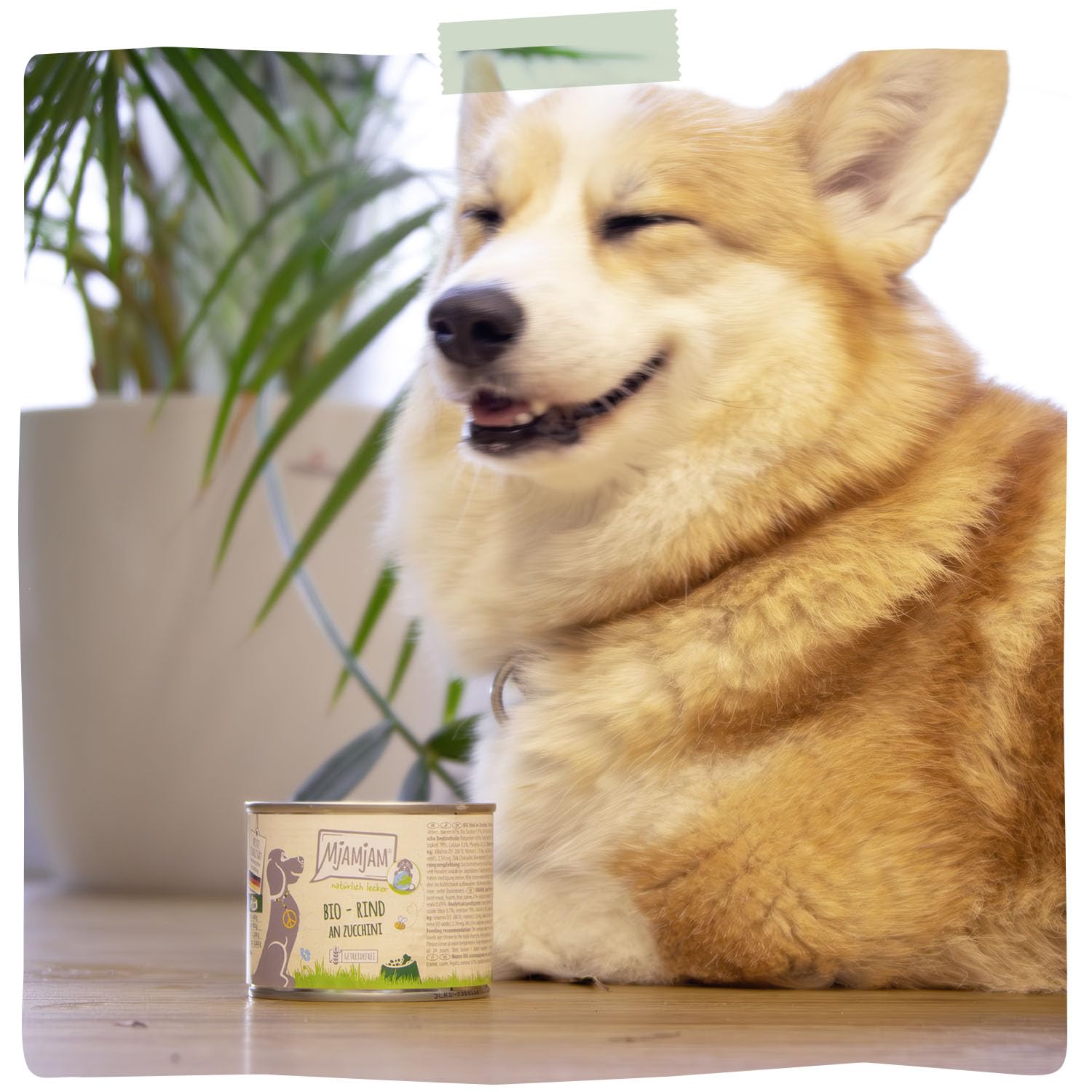 MjAMjAM - Nourriture humide premium pour chiens - naturellement délicieuse - BIO boeuf aux courgettes,paquet de 6 (6 x 200g), sans céréales avec extra viande