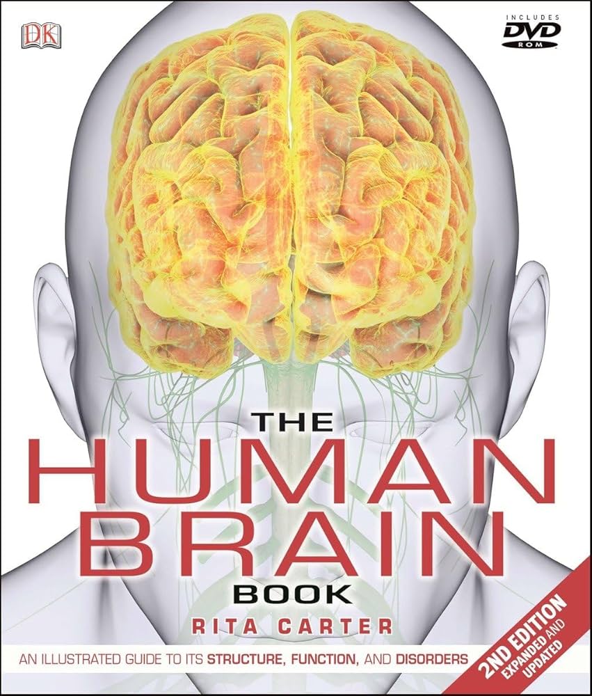 洋書 Duvernoy The Human Brain Second edition 洋書 Duvernoy The Human Brain Second edition The Human Brain