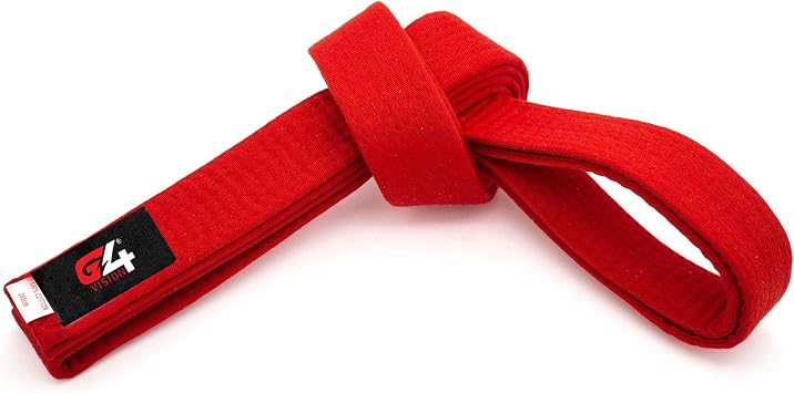 G4 VISION Black Karate Belts Martial Arts Uniform Ranking Taekwondo Karate Judo BJJ Colored Ranking Belt Aikido Kempo Sports for All Purpose