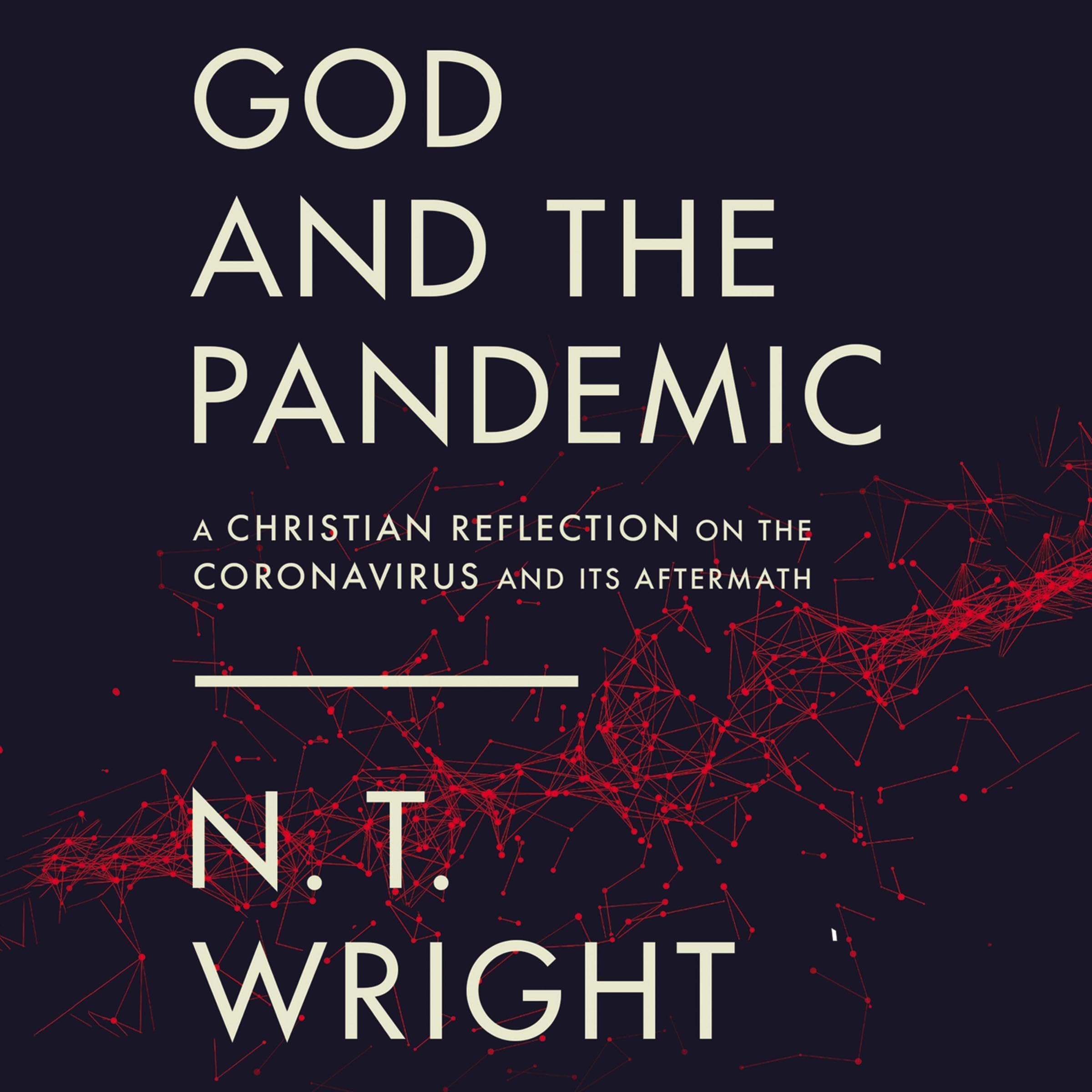 Cover art for God and the Pandemic