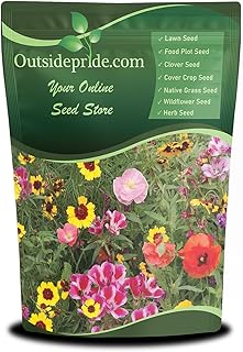 Outsidepride Pollinator Wildflower Seed Mix - 1 lb Flower Seeds for Attr...