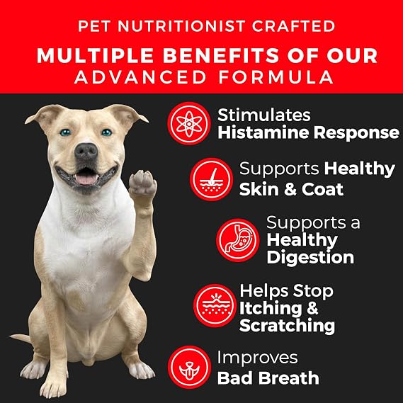 Pet Chef Dog Allergy Chews 140 Soft Chews with Salmon Oil, Omega 3 & Probiotics Natural Supplement for Itch Relief, Immune Support & Healthy Skin & Coat (Peanut Butter)