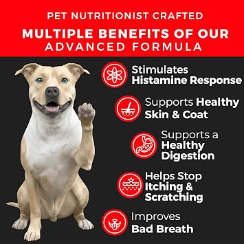 Pet Chef Dog Allergy Chews 140 Soft Chews with Salmon Oil, Omega 3 & Probiotics Natural Supplement for Itch Relief, Immune Support & Healthy Skin & Coat (Peanut Butter)