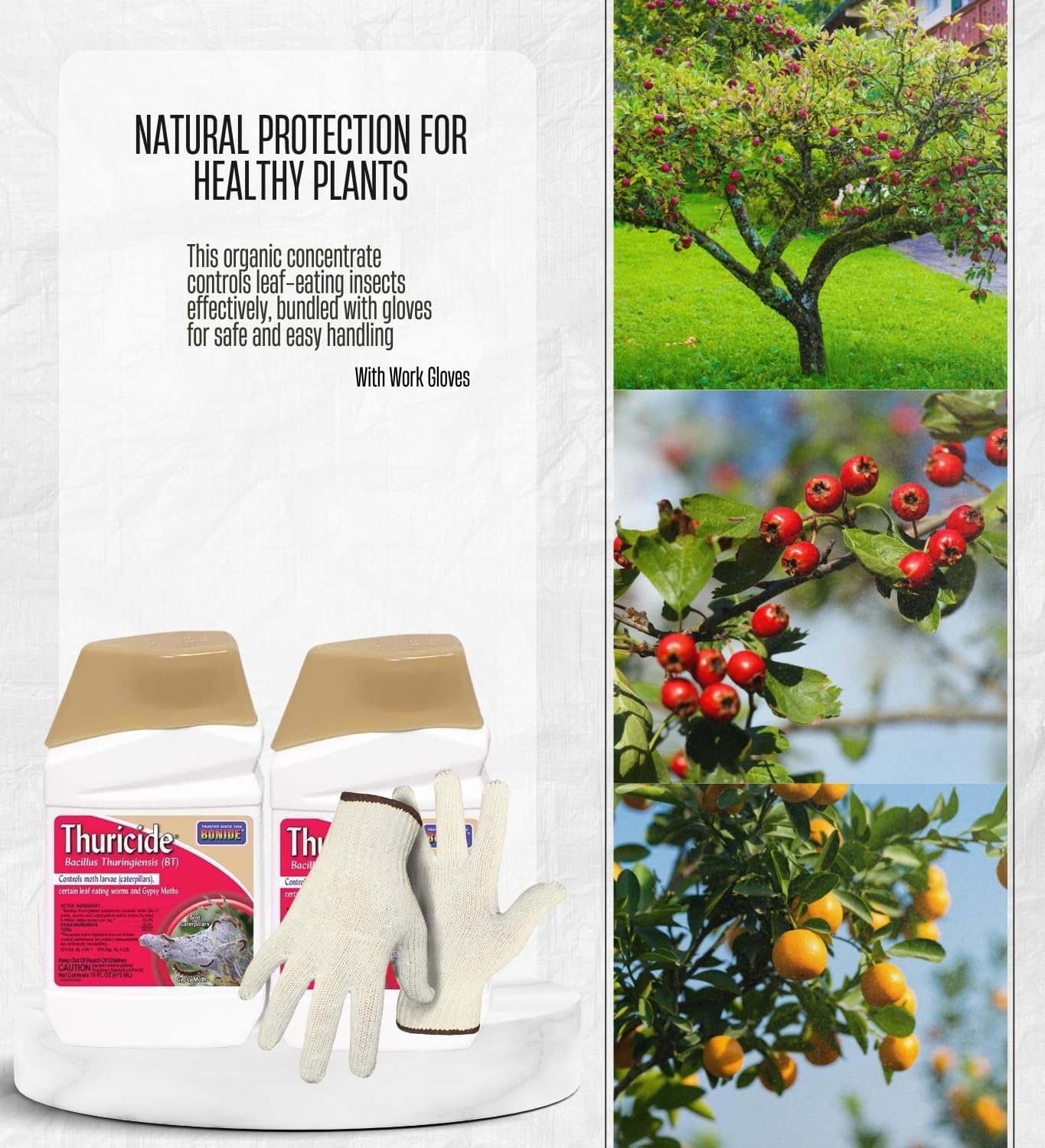 2X Bonide Insect Control Liquid Concentrate 16 oz Bundle with Work Gloves – Caterpillar and Worm Control Insecticide for Outdoor Plants and Gardens – Gift Set (3 Items)