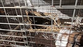 Review Image by Jack H Jack H