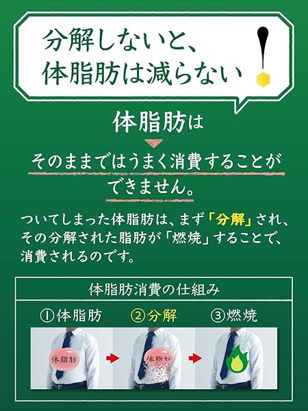 [トクホ] サントリー 伊右衛門 特茶 ラベルレス 500ml×24本 まとめ売り実施中 - 5