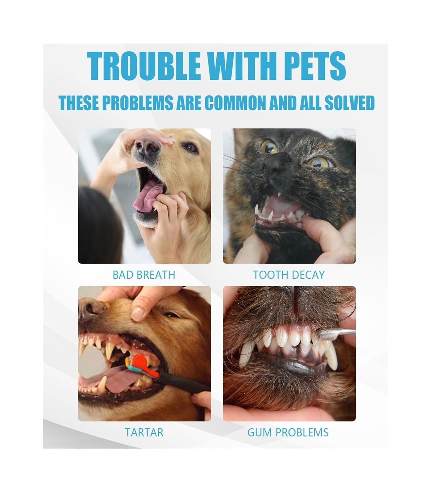 Pasta de dientes for mascotas de 60 g, imprescindible for gatos y perros for el cuidado bucal diario, limpieza de dientes y eliminación de sarro(4pcs)