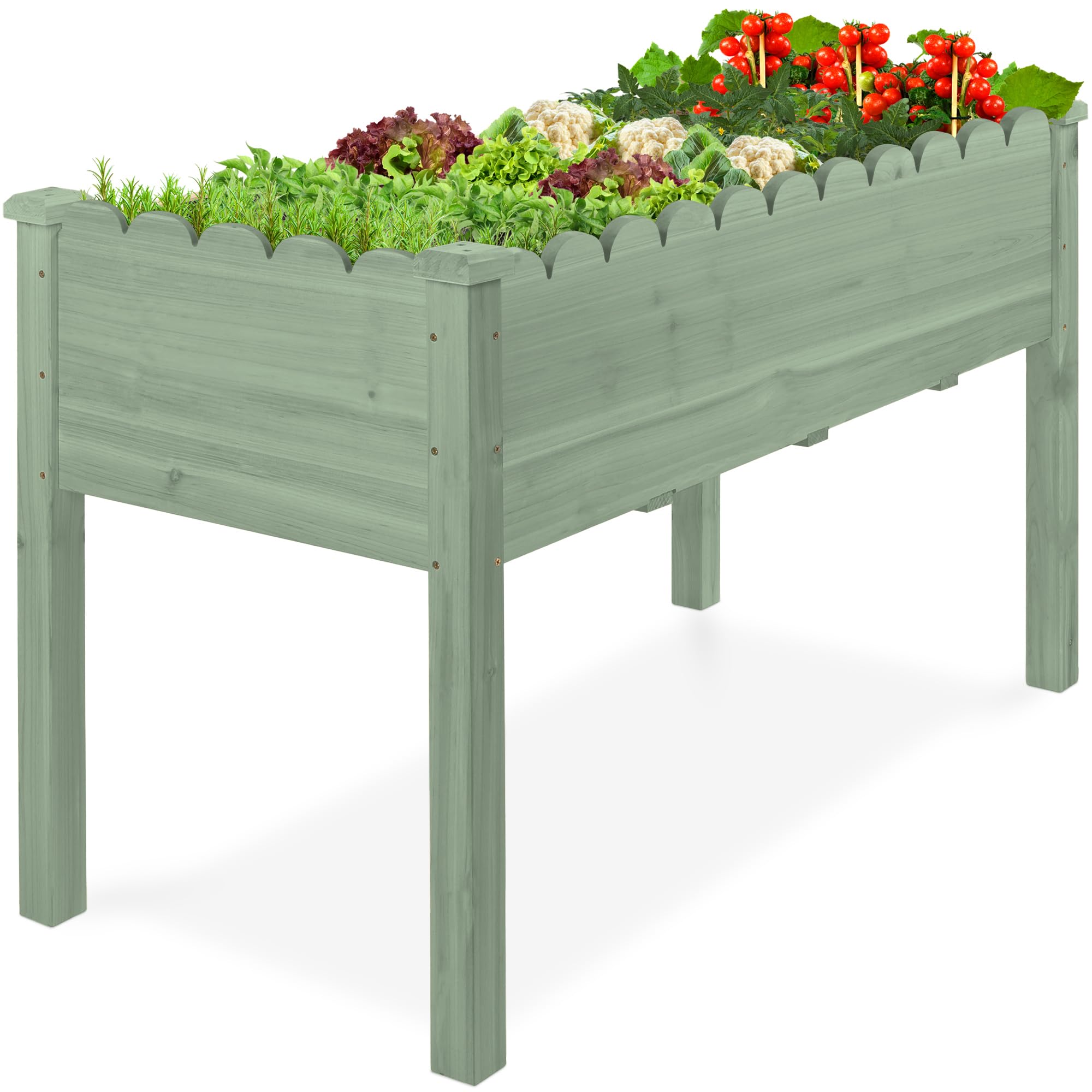 Best Choice Products Raised Garden Bed