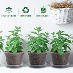 BTPLASTIK Clear Nursery Pots with Drainage Holes (Clear, 8 Inch-7P)