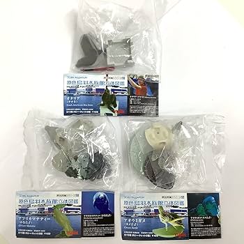 Amazon.co.jp: YUJIN 原色鳥羽水族館立体図鑑 11個セット