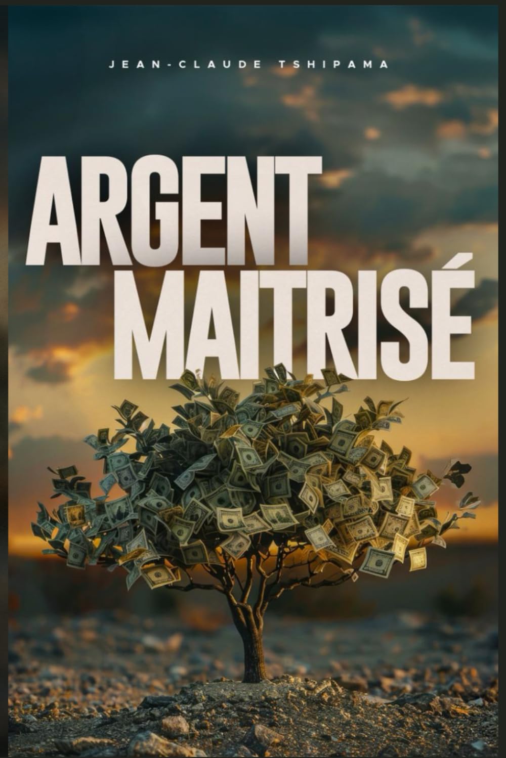 ARGENT MAÎTRISÉ: Le guide ultime pour reprendre le contrôle de vos finances.