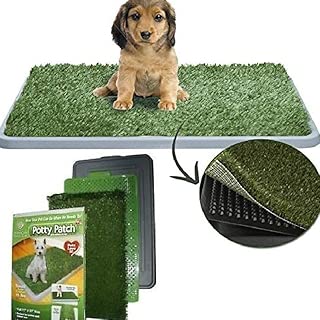 Dobo® Katzentoilette Maxi WC für Hunde und Katzen Welpen von mittlerer Größe mit Kunstrasen saugfähig ideal für Training Potty Patch im test