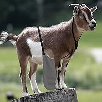 Vista 6 de Anti Breeding Buck Delantal Anti Apareamiento Falda con Correa de Pecho para Cabras Ovejas