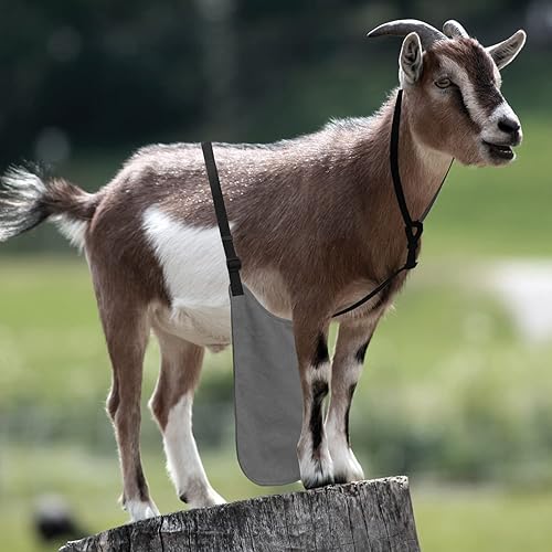 Miniatura 6 de Anti Breeding Buck Delantal Anti Apareamiento Falda con Correa de Pecho para Cabras Ovejas