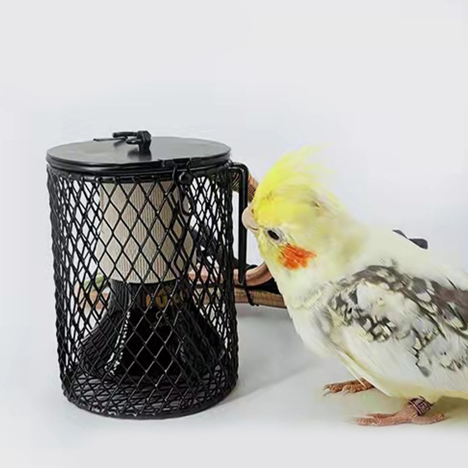 Generico Gabbia Per Lampade Riscaldanti | Supporto Lampada Termica - Copertura Protettiva per Terrari Cuccioli e Serre Uccelli da Esterno