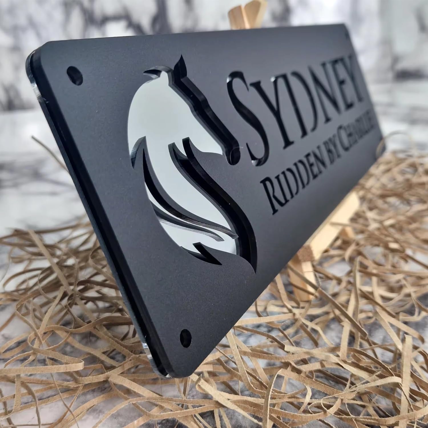 miguha Custom Horse Stable Name Plate Horse Name Plaque, Custom Horse Stall Acrylic Sign For Farm Barn Sign, Customized Outdoor Horse Name/Number Door Sign Gift For Horse Lovers(Black Silver)