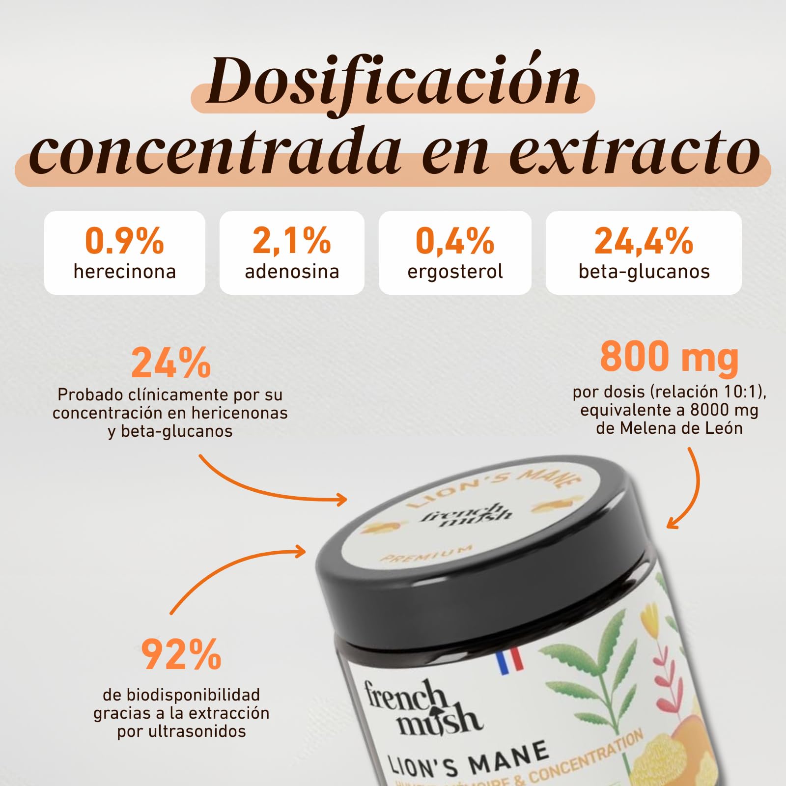 French Mush Polvo Full Spectrum de Lion's Mane cultivado en Europa. Extractos de beta-glucanos 24,4% | (30g)