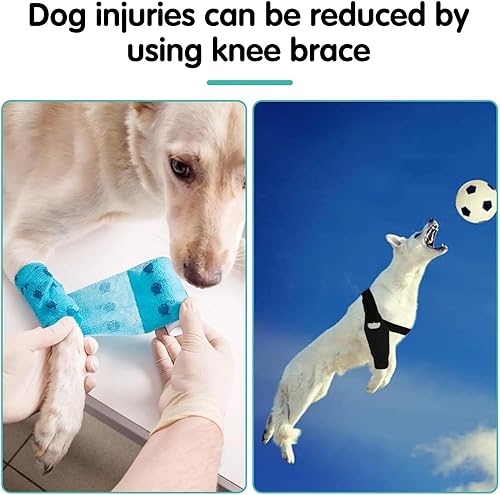 Miniatura 7 de Rodillera para perro para lesiones de ligamento cruzado anterior y ligamento Soporte ajustable para la pierna trasera y envoltura de compresión