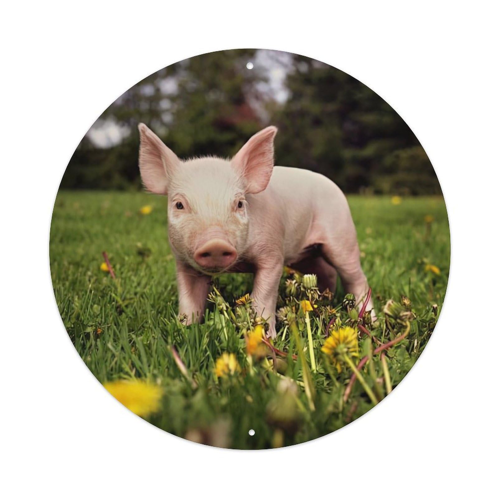 Animal Artwork Mini Pig Vintage Metal Tin Sign Plaque Wall Decor for Cafe, Club Bar, Office, Garden Metal Poster 8x8Inch