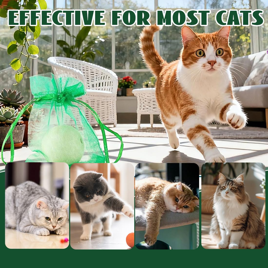 Palle Repellenti per Gatti – 12 Pezzi, Repellente Naturale con Fragranze di Menta e Citronella – Resistente alle Intemperie, Sicuro per gli Animali e Ecologico – Per Giardino, Terrazza Interno