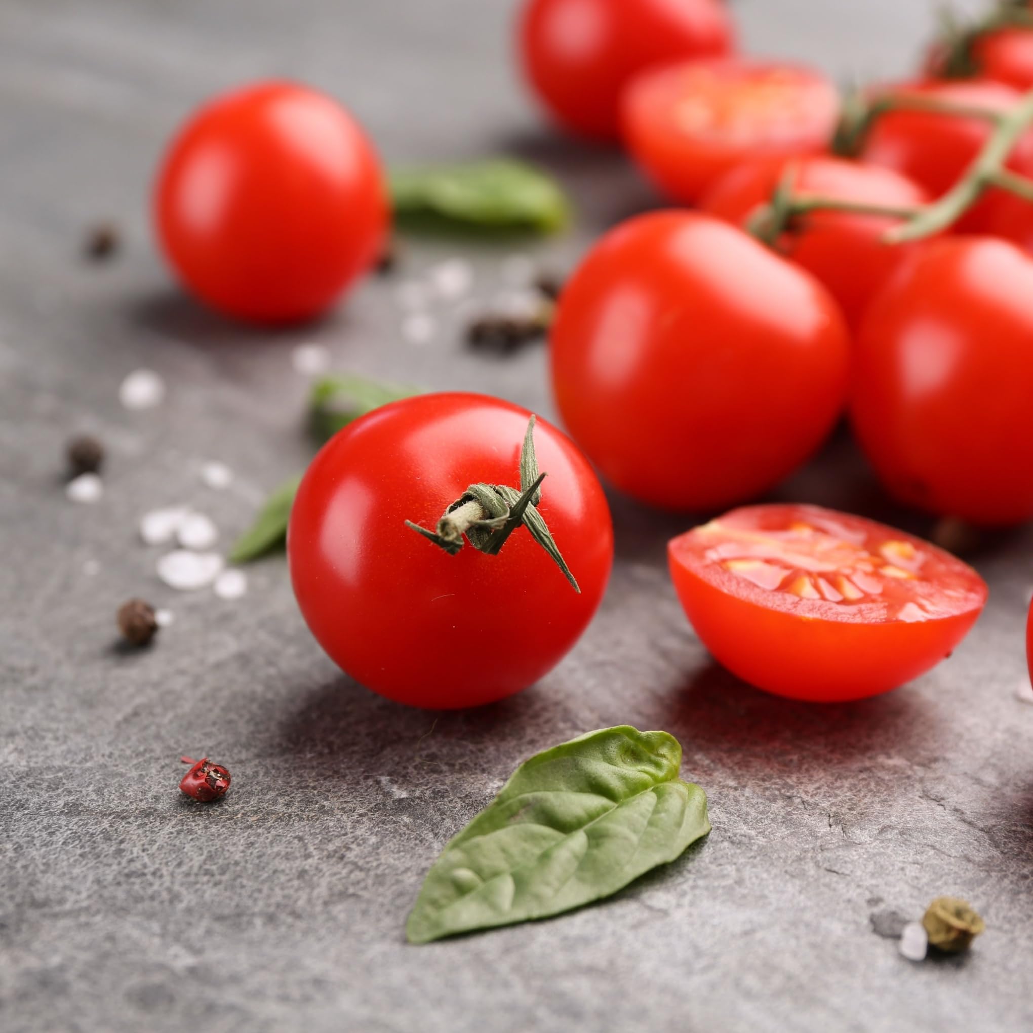 Tomato Plants, Pick and Mix Varieties, 6 x Full Plug Plant Pack, Tomato Plants Ready to Plant Now, Veg Plugs, Tomatoes, Garden Ready, Garden Plants (Sweet and Neat)