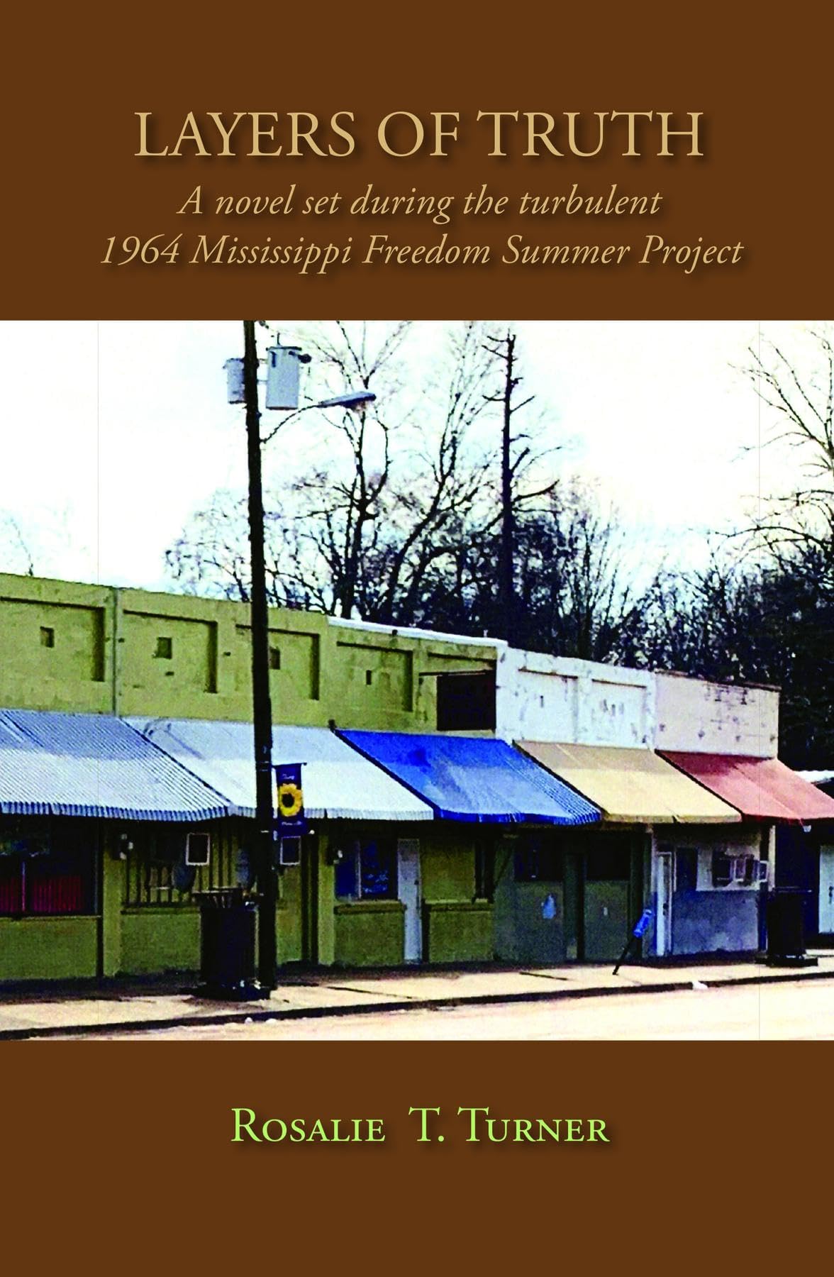 Layers of Truth: A Novel Set During the Turbulent 1964 Mississippi Freedom Summer Project