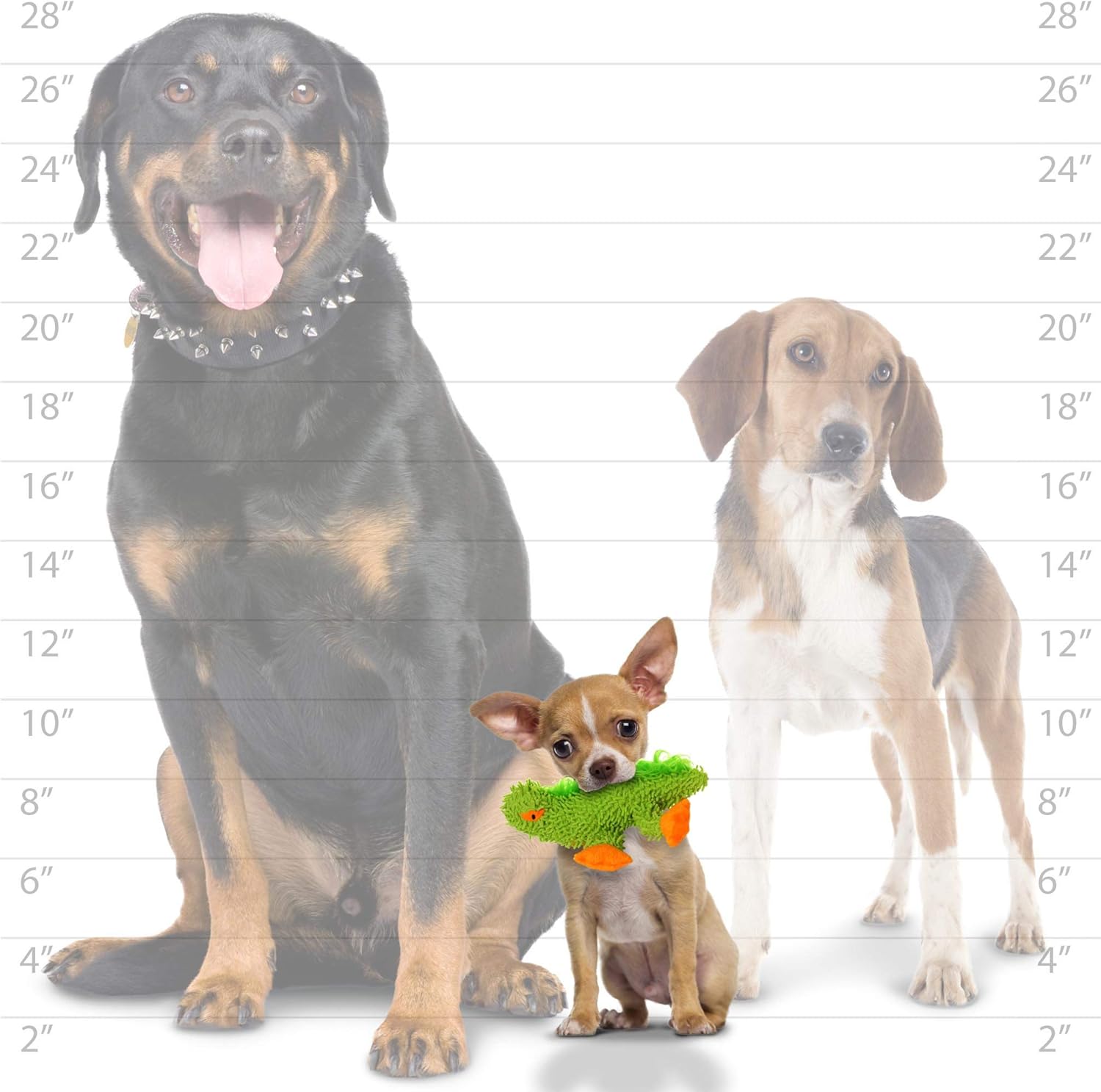 MIGHTY- Microfiber – Made with Stuffing. Strong & Tough. Interactive Play Dog Toy. Machine Washable & It Floats (Lizard, Jr 2 Pack)