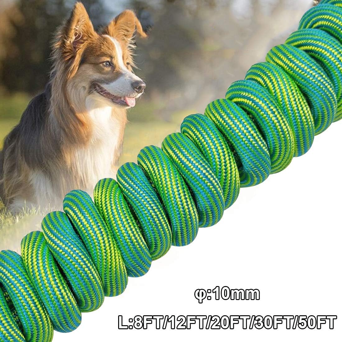 BTINESFUL 20FT Anti-Choke Slip Lead Dog Leash + 20FT Dog Tie Out Rope Leash