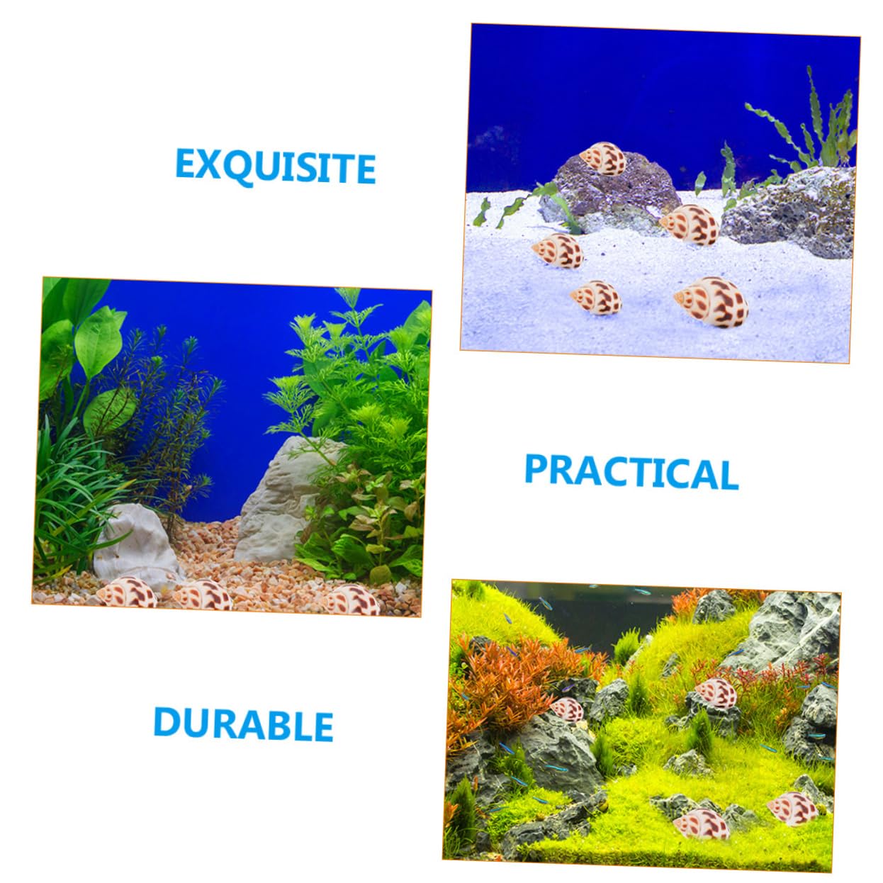 Zerodeko 2 Set Conchiglia Vuoto Substrato Spiaggia Decorazioni per Bomboniere Decorazioni Marine Decorazione di Conchiglie Dell'acquario Materiale di Riempimento del Guscio 160 Pezzi * 2