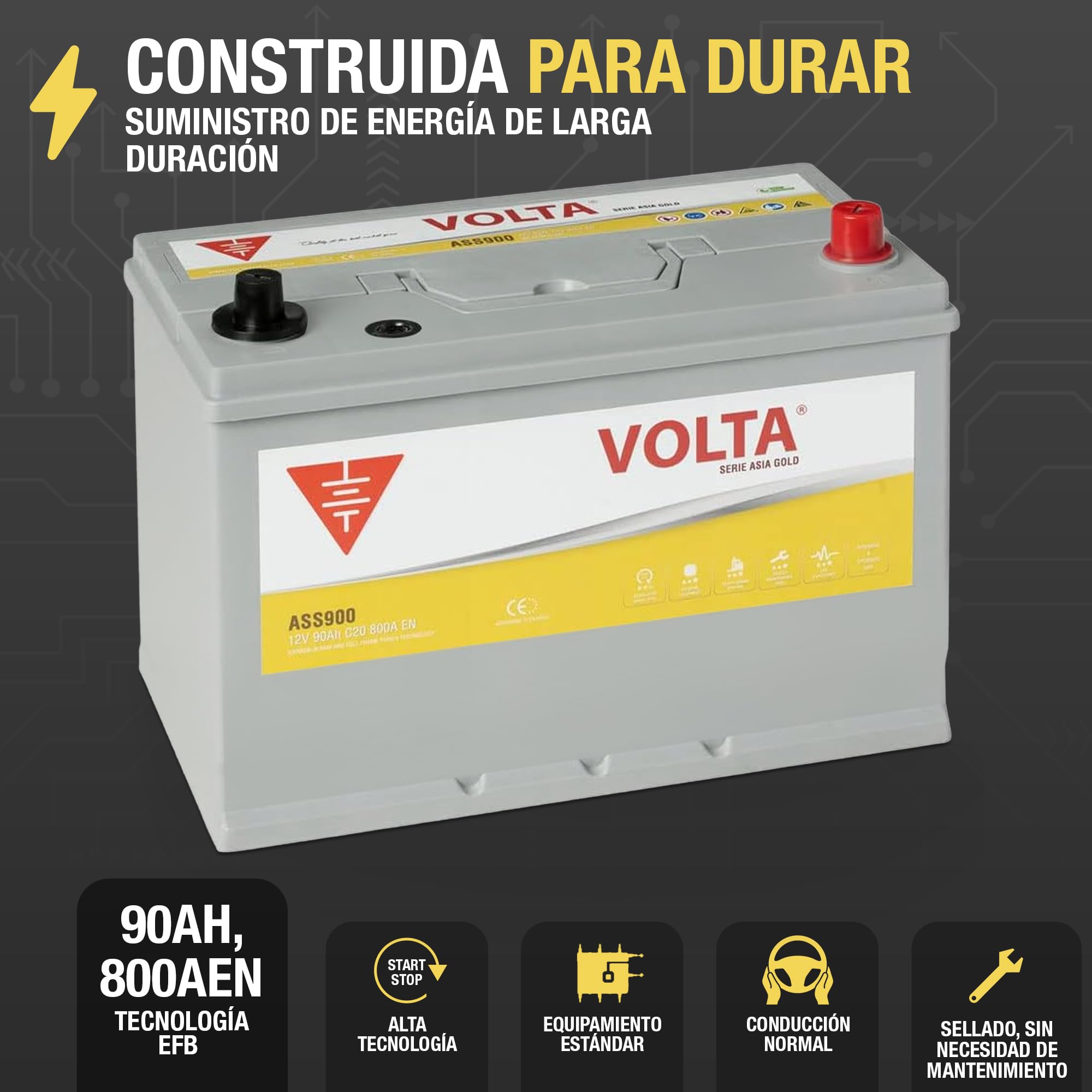Batería de Coche Start-Stop EFB 90Ah 800 AEN - Volta Gold Asia ASS900D - Sistema Start-Stop - Borne +Derecha - Medidas Largo 306 x Ancho 176 x Alto 225 mm con 2 Años Garantía - Fabricación Europea