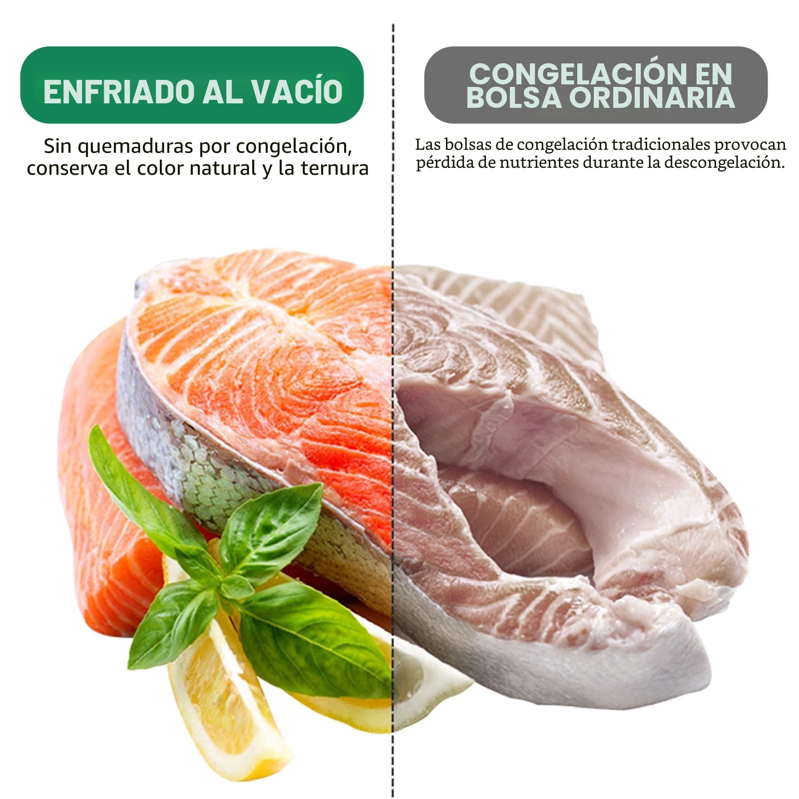 Envasadora al vacío 6 en 1 profesional para alimentos, con 50 bolsas de envasado al vacío y 1 manguera para recipiente al vacío, dispositivo de sellado automático de 75 Kpa con cortador y cuenta atrás