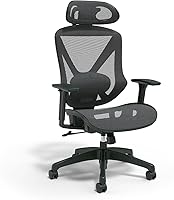 Staples Dexley Ergonomic Mesh Office Chair - Adjustable Height, Lumbar Support, 3D Arms, Swivel Tilt, Black
