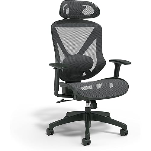 STAPLES Dexley Ergonomic Mesh Swivel Task Chair, Black (UN56946)