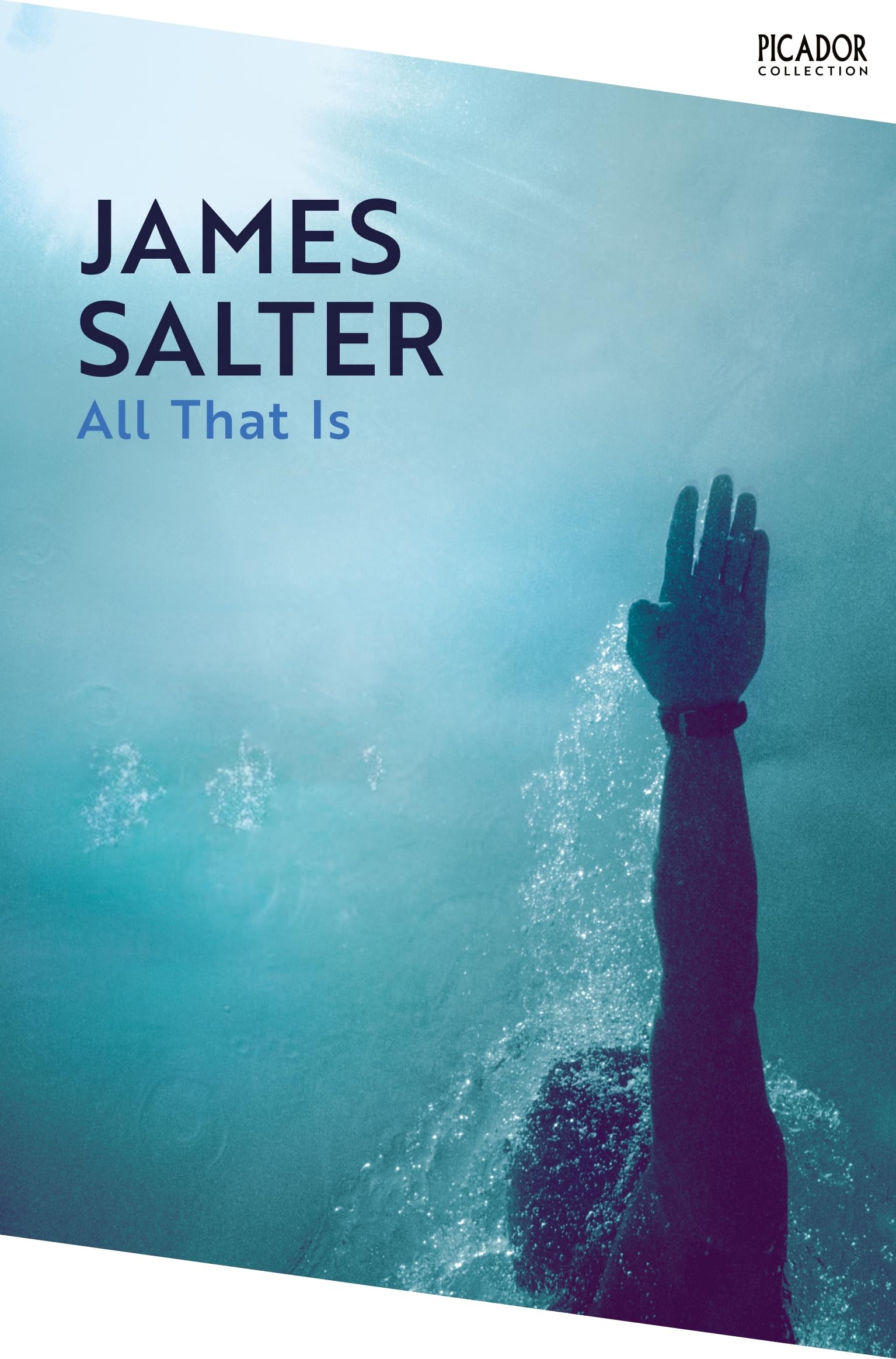 All That Is (Picador Collection)