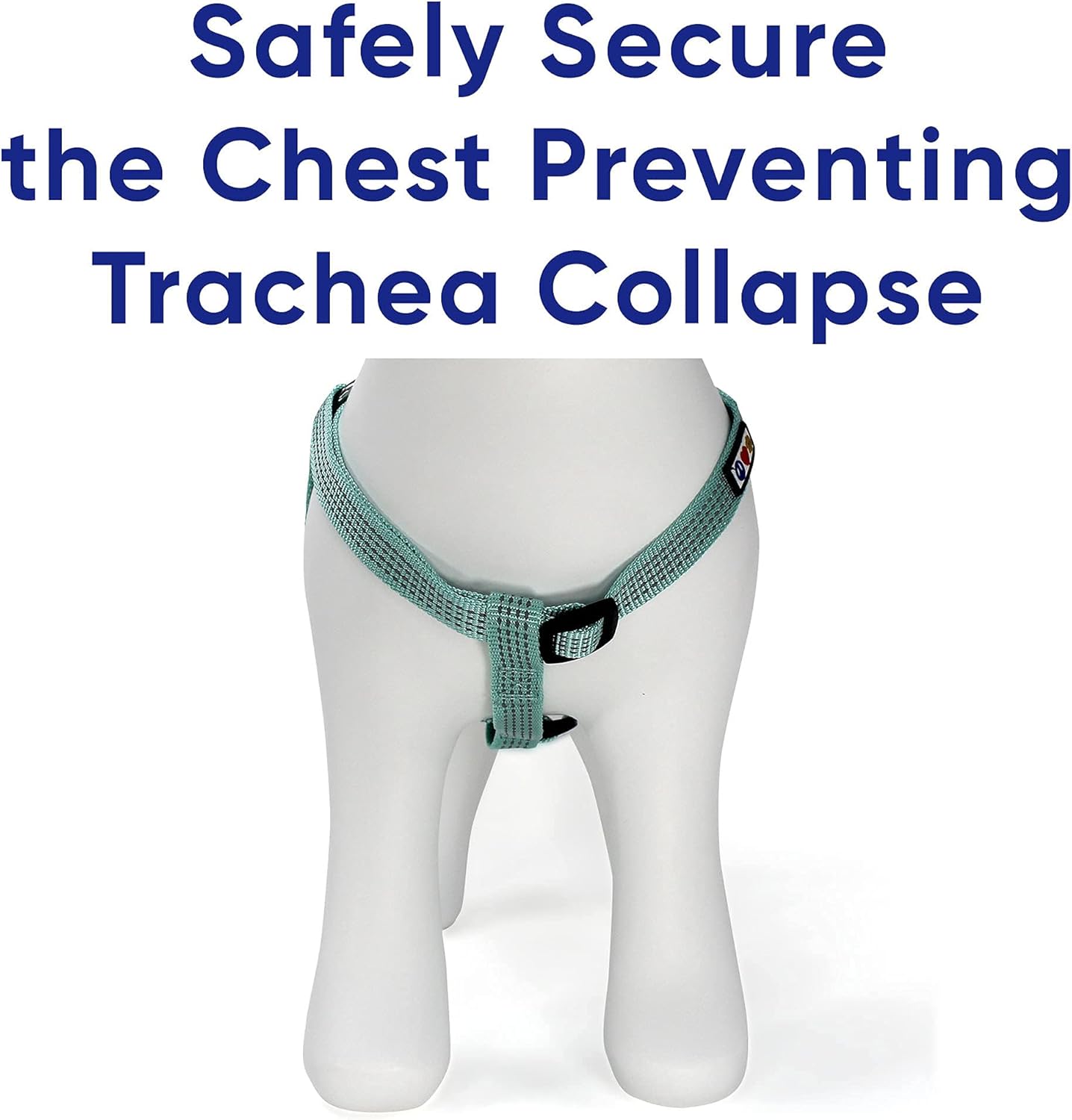 Pawtitas Value Bundle Set | Large Reflective Dog Harness + Large Reflective Dog Collar + Large Reflective Dog Leash – Teal Set