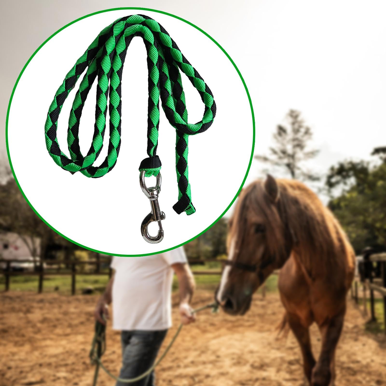 kowaku Braided Horse Rope with Bolt Snap for Training and Leading Pets or Sheep, Green 3.5Meters