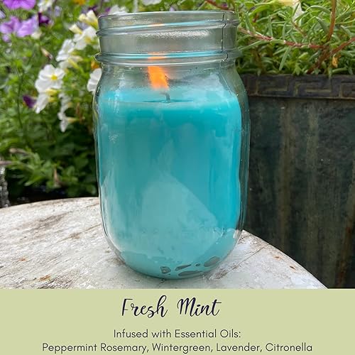 Miniatura 3 de Velas de menta fresca con aceites esenciales, fabricadas en Estados Unidos, (juego de 3) para patio, terraza, uso en exteriores o interiores, 88