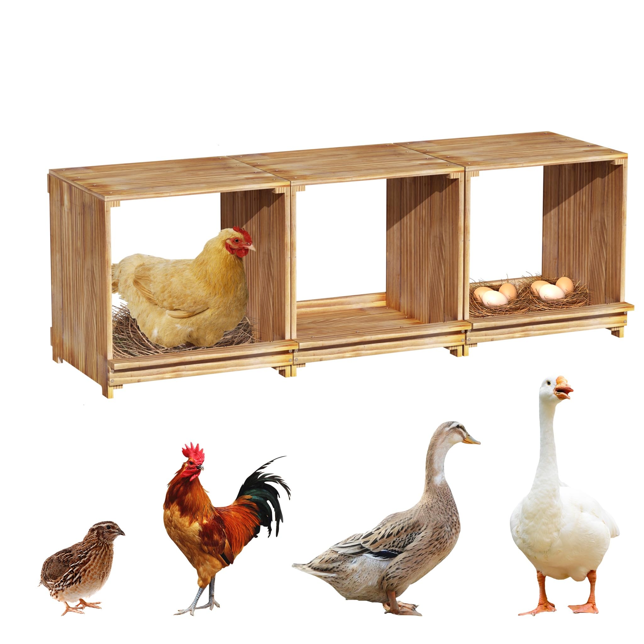 BingoPaw Ponederos para Gallinas de Pino 105x30x36cm, Gallinero para Exterior 3 Gallinas hasta 3.5 Kilos, Gallinero Madera Impermeable Resistente a la Humedad Duradero, Nidal de 3 Huecos