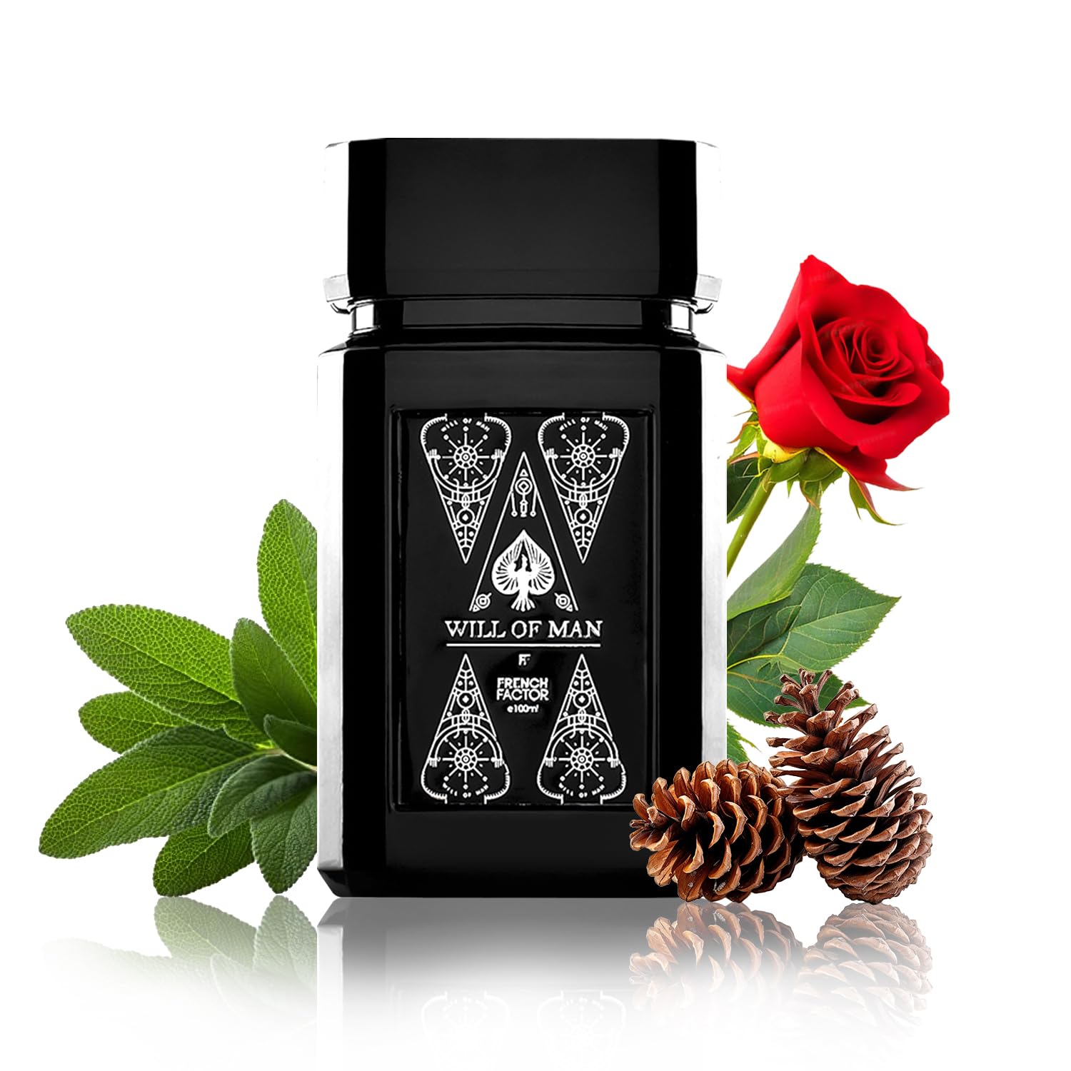 The French Factor Liquid Will Of Man Party Perfume For Men Long Lasting Luxury Edp With Oud Fragrance Gift For Boys Made I... - Review, Price and Buying Guide