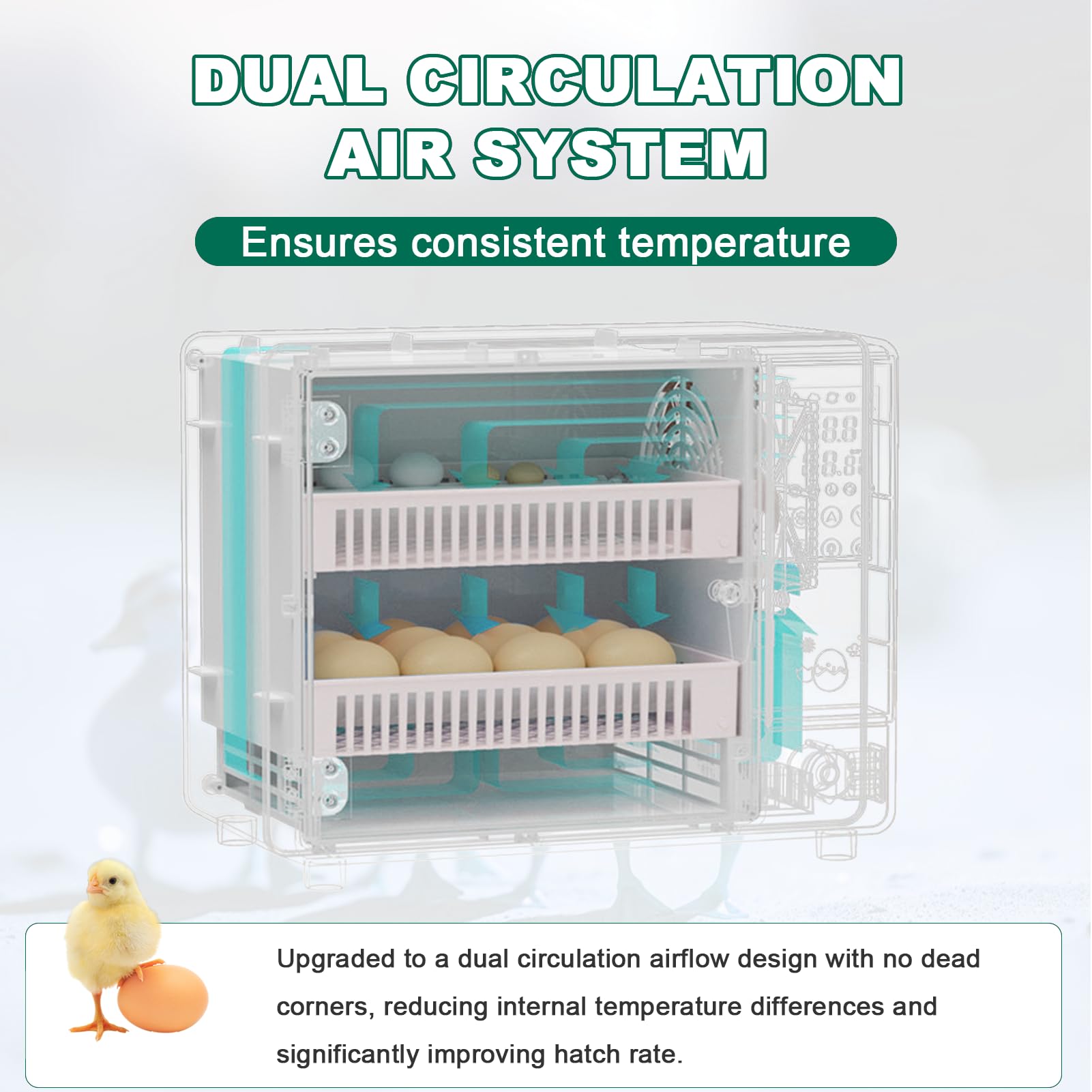 Brutautomat Inkubator Brutmaschine für 24 Eier mit Automatischer Wendefunktion Temperaturregelung & Einstellbarem Eierhalter Dual Stromversorgung
