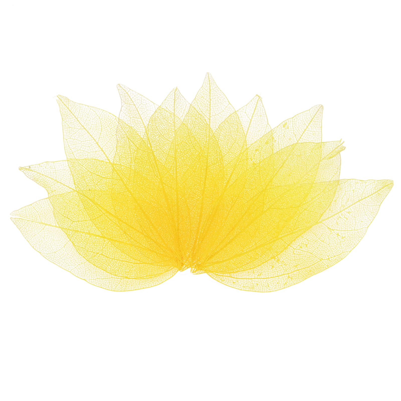 M METERXITY 100-Pack Skeleton Leaves