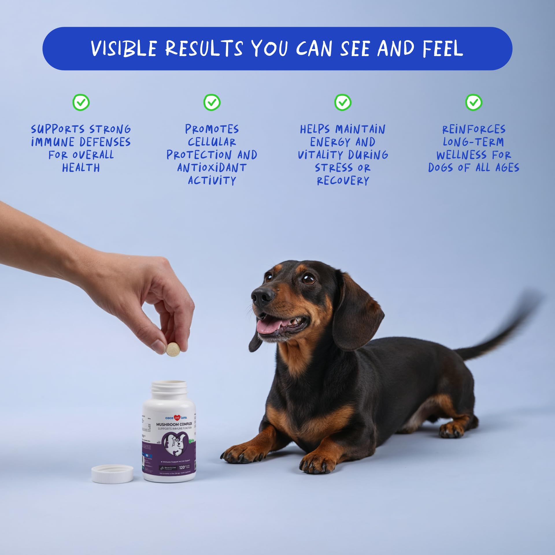 Turkey Tail Mushroom Supplement for Dogs Lumps & Bumps Support, 120 ct — Amazon image 2