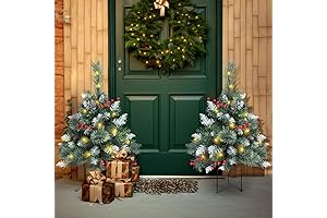 2.5FT Pre-Lit Porch Christmas Tree Set