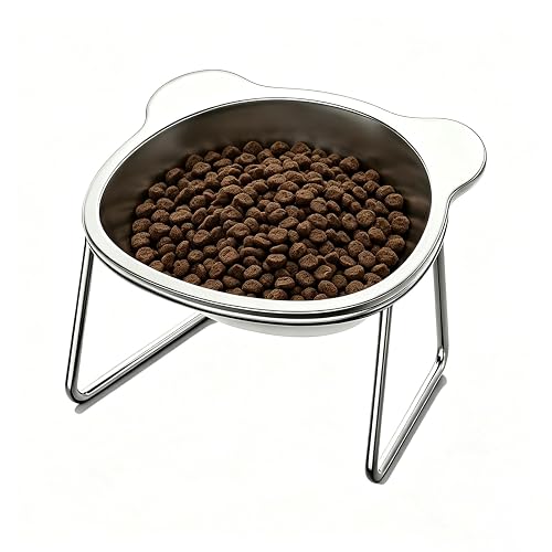 Vinqki Elevated Cat Bowl,15° Tilted,5.9" Wide for Cats and Small Dogs