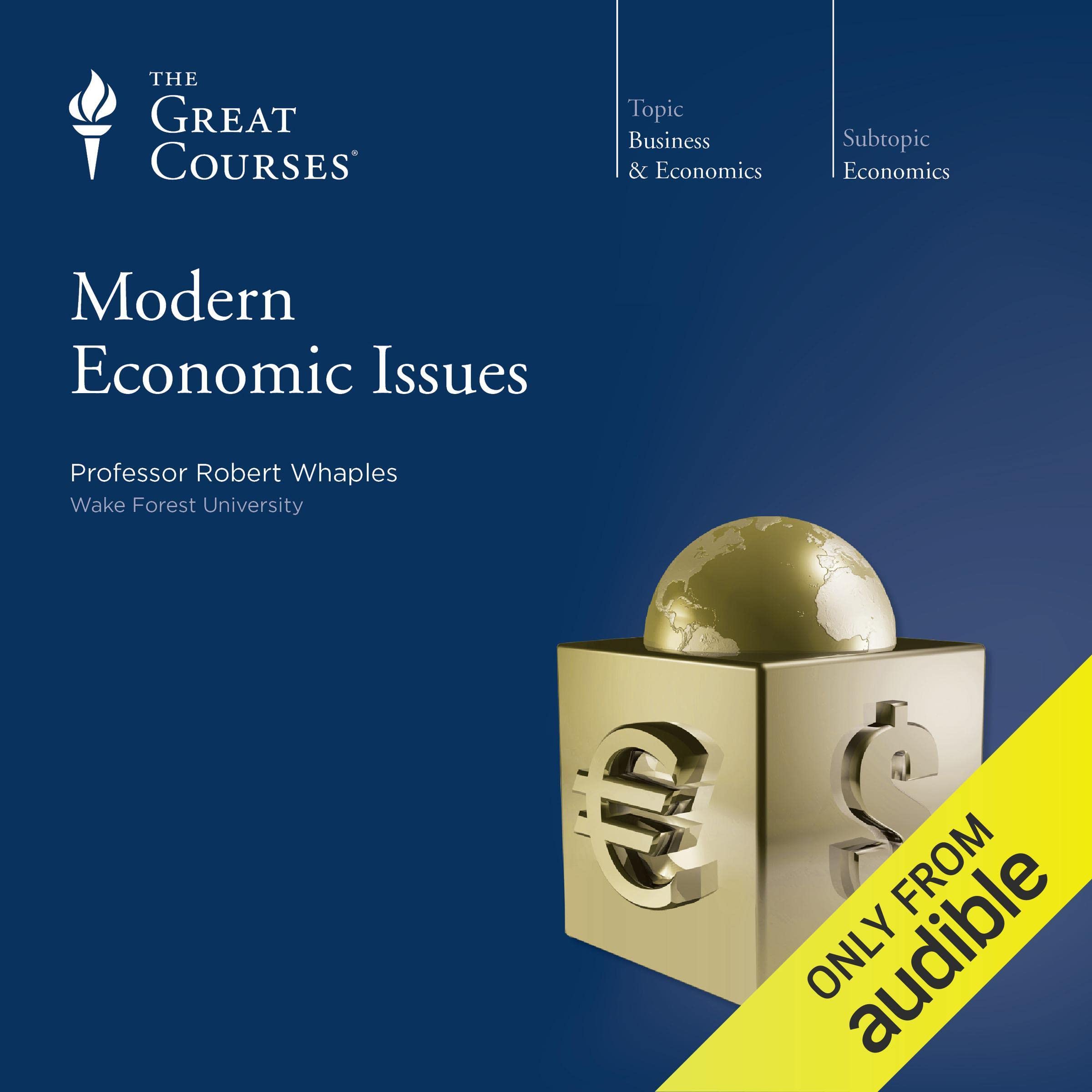 Cover art for Modern Economic Issues