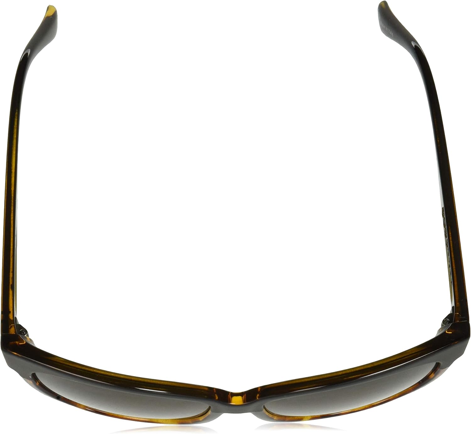 Electric Visual Danger Cat Darkside Tortoise/OHM Blk Gradient Sunglasses